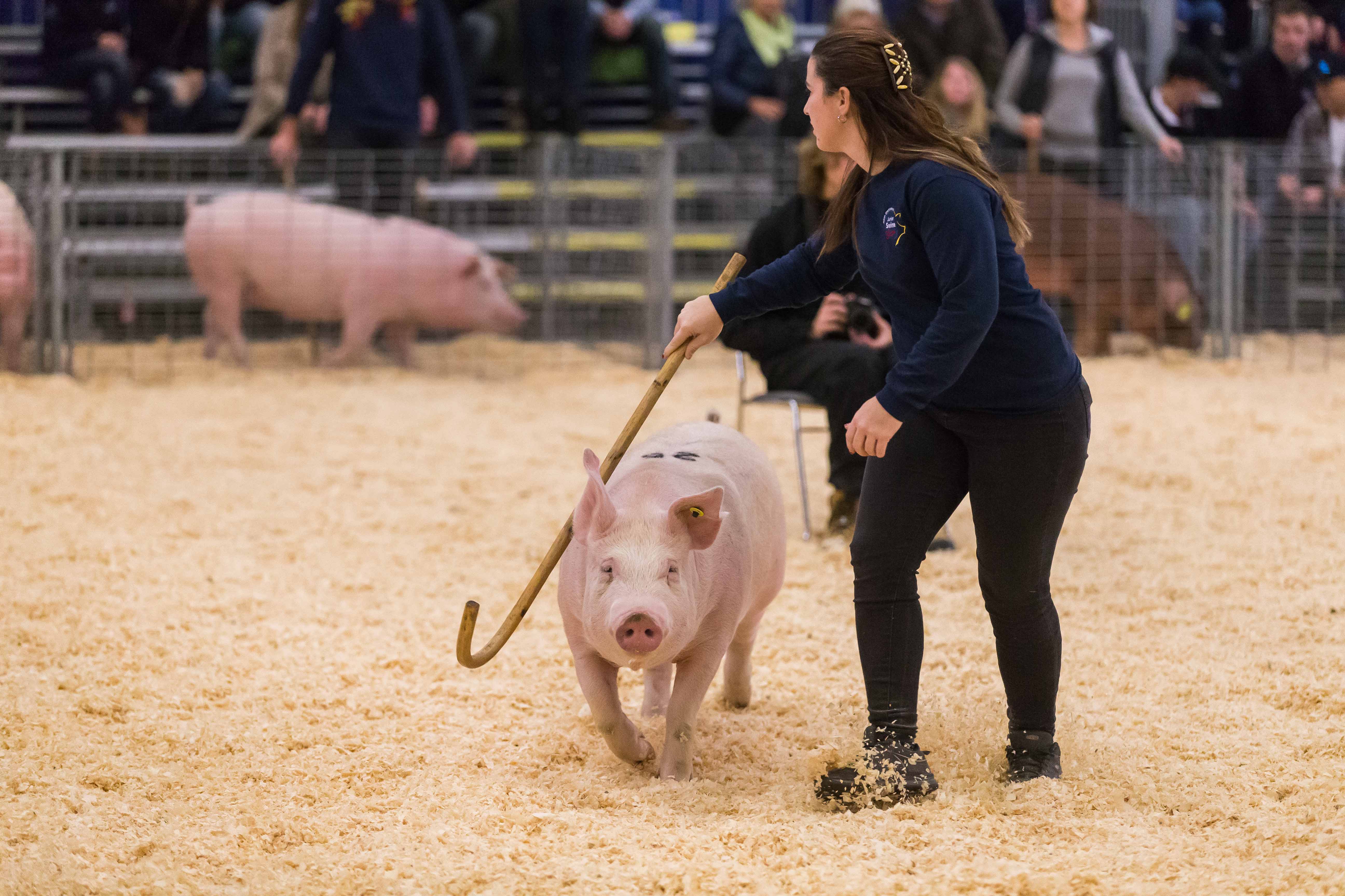 Agriculture Competitions • The Royal Agricultural Winter Fair