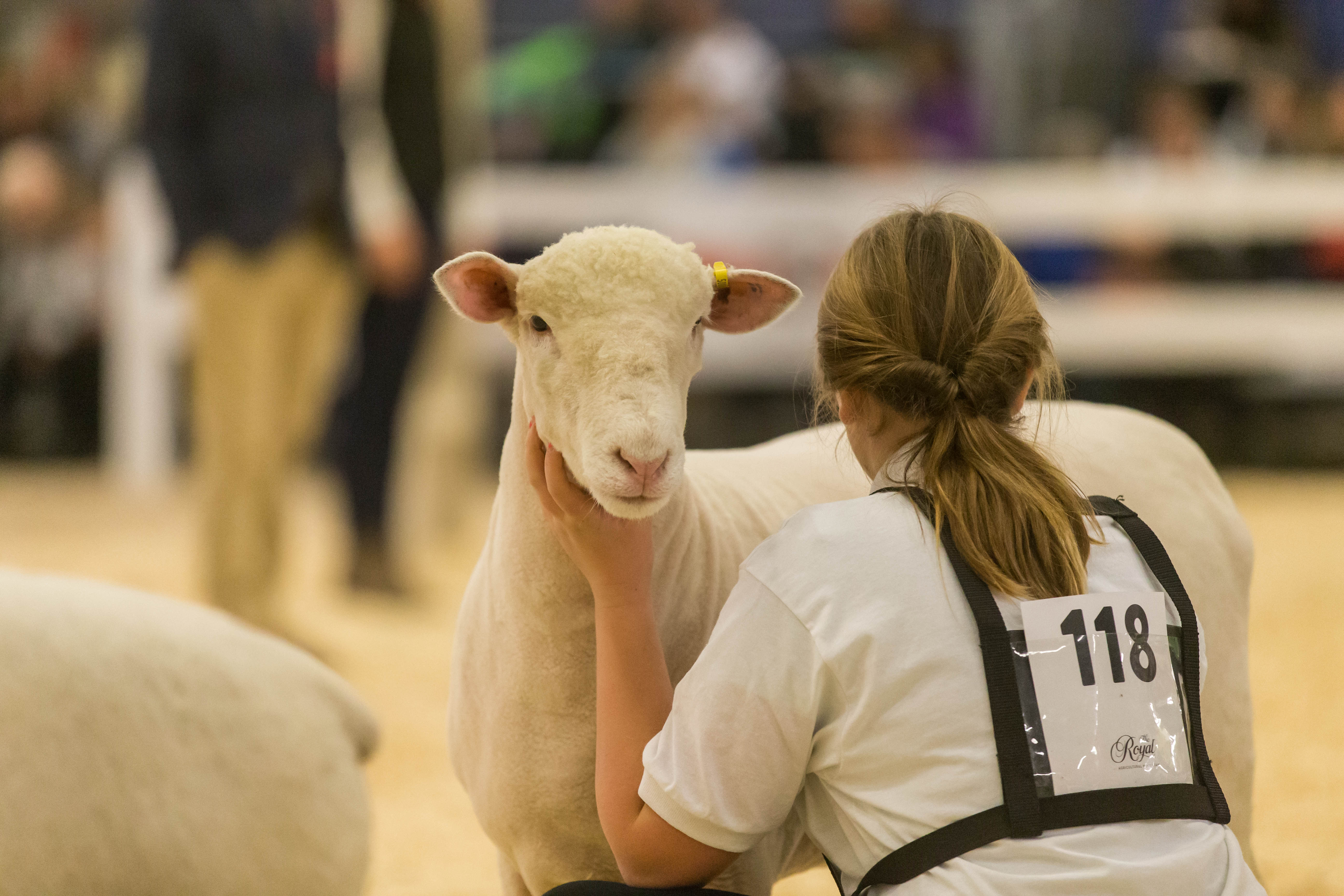 Agriculture Competitions • The Royal Agricultural Winter Fair