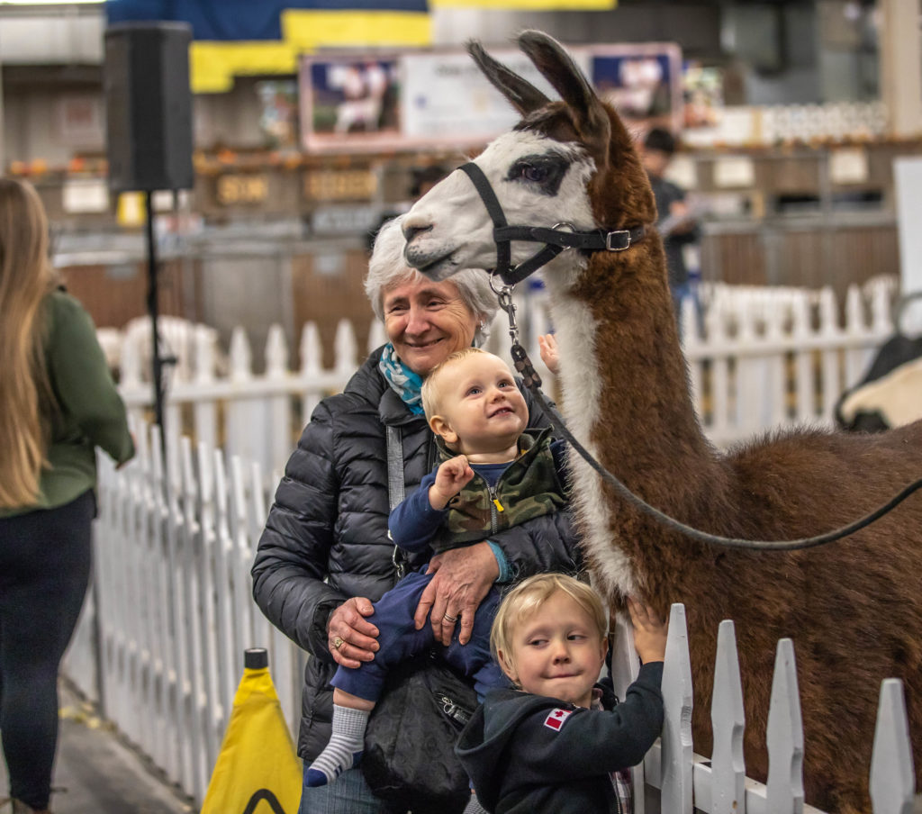 Entertainment & Attractions • The Royal Agricultural Winter Fair
