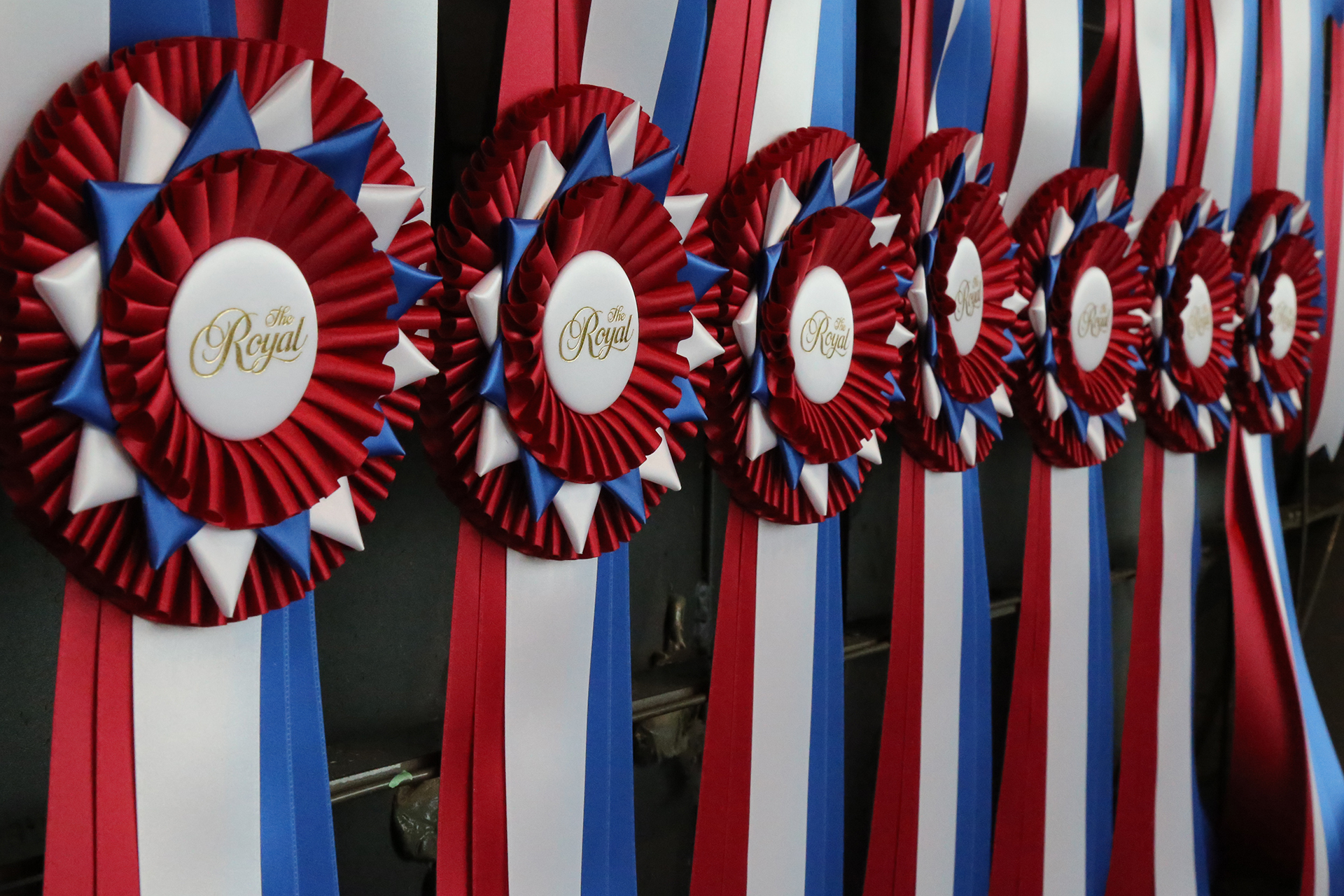 Careers at The Royal • The Royal Agricultural Winter Fair