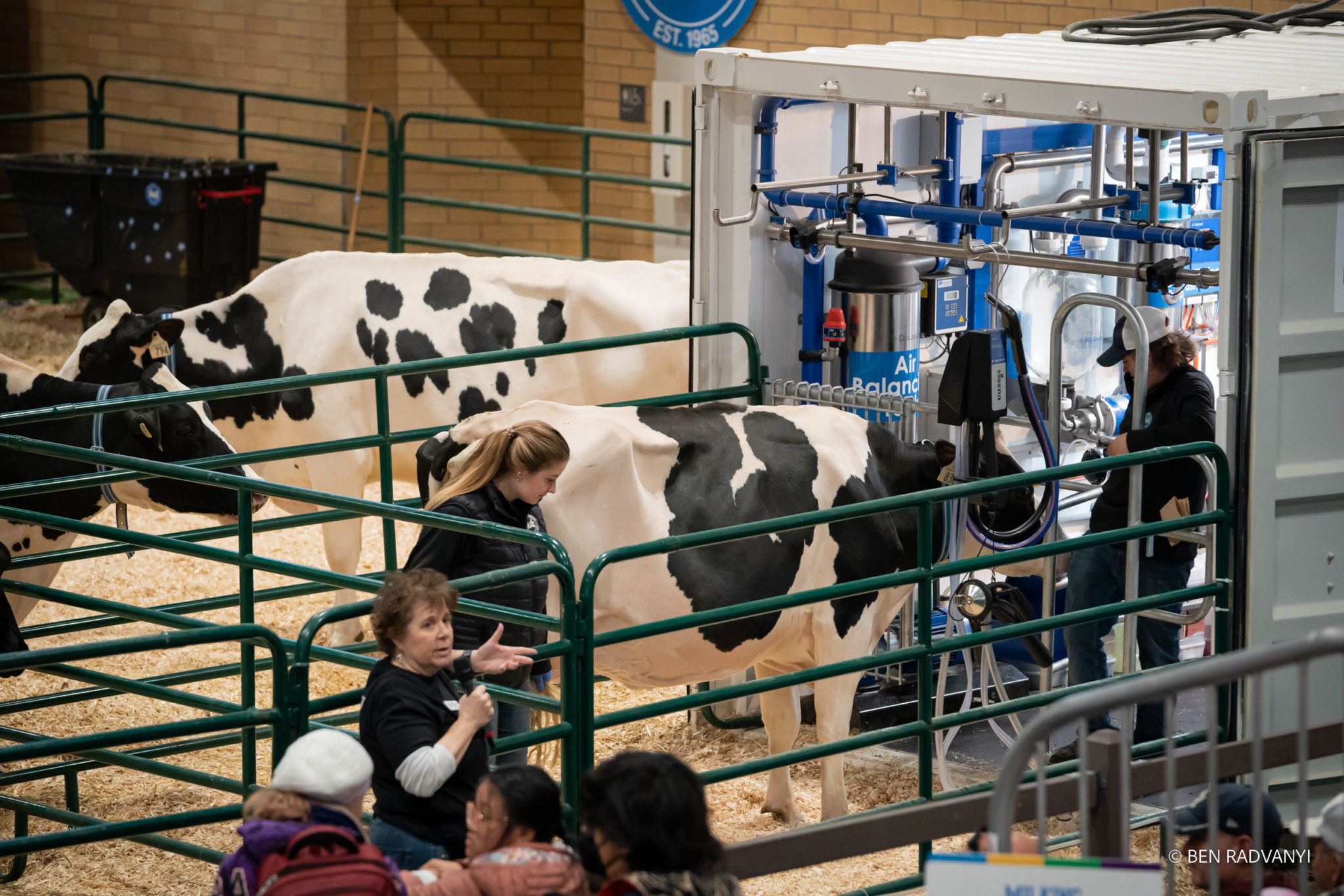 Entertainment & Attractions • The Royal Agricultural Winter Fair