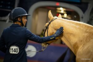 The Royal Horse Show • The Royal Agricultural Winter Fair